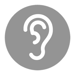 dsky-vrengine-audio-icon